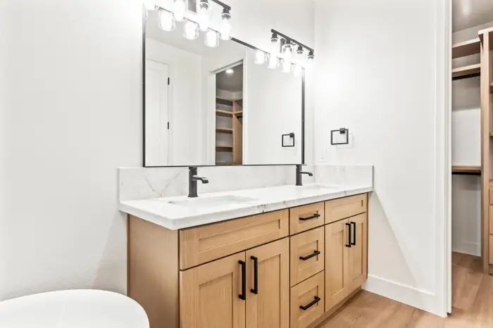 Bathroom vanity with dual sinks